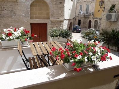 Casa Morola Monolocale Apartment Trani Exterior photo